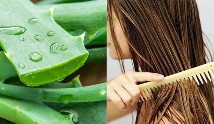 Nguyên Nhân Và Cách Khắc Phục Rụng Tóc Cho Cả Nam Và Nữ