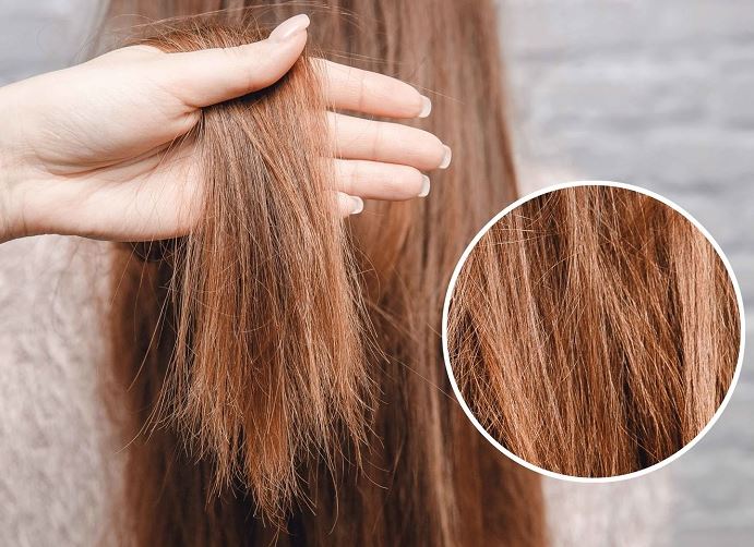 nguyên nhân chính khiến tóc hư tổn